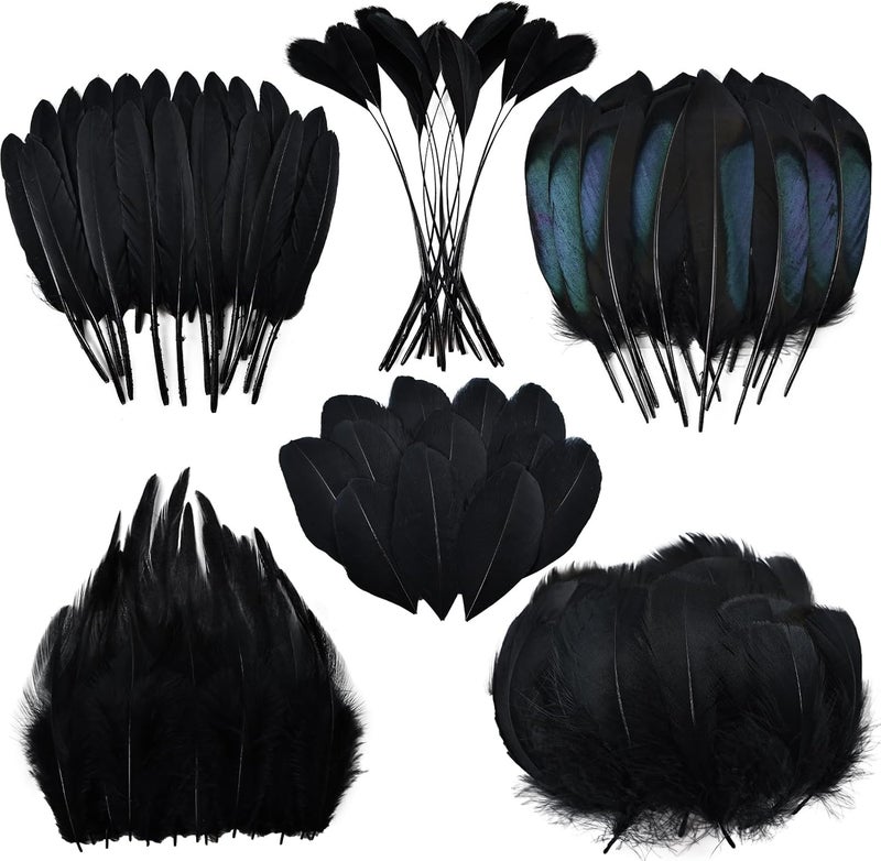 Daieeparty Black Craft Feathers Bulk - 180pcs 6 Style Mixed Natural Feathers for Wedding,DIY Crafts (Black) - Image 1